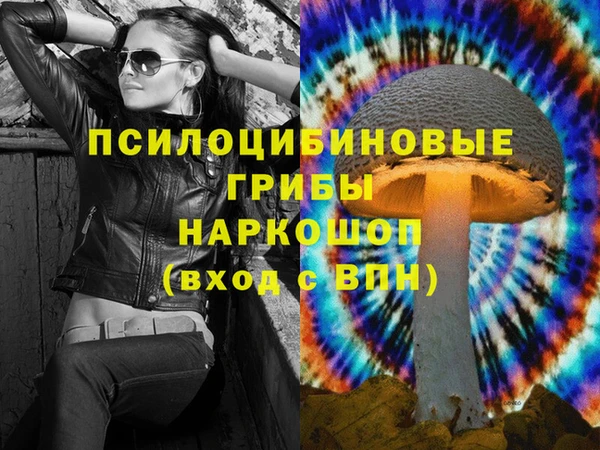 СК Нефтегорск