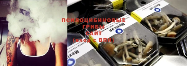 ПСИЛОЦИБИНОВЫЕ ГРИБЫ Аркадак