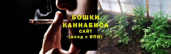 ПСИЛОЦИБИНОВЫЕ ГРИБЫ Аркадак