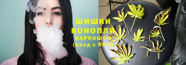 ПСИЛОЦИБИНОВЫЕ ГРИБЫ Аркадак