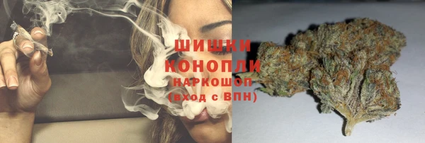 гашик Балахна