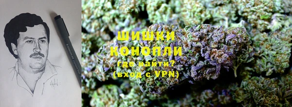 ешки Арсеньев