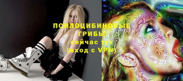 ПСИЛОЦИБИНОВЫЕ ГРИБЫ Аркадак