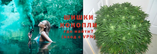 ПСИЛОЦИБИНОВЫЕ ГРИБЫ Аркадак