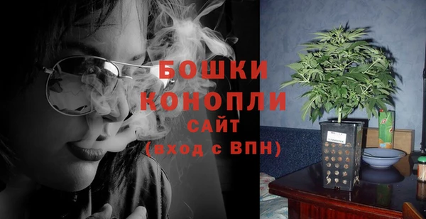 ПСИЛОЦИБИНОВЫЕ ГРИБЫ Аркадак