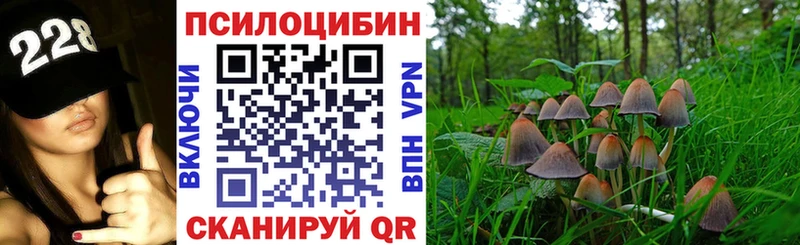 блэк спрут сайт  закладки  Рыбное  Псилоцибиновые грибы ЛСД 